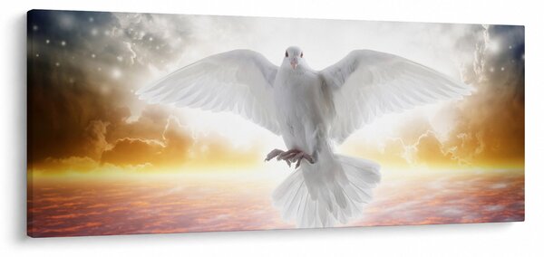 Slika golubice (120x50 cm)