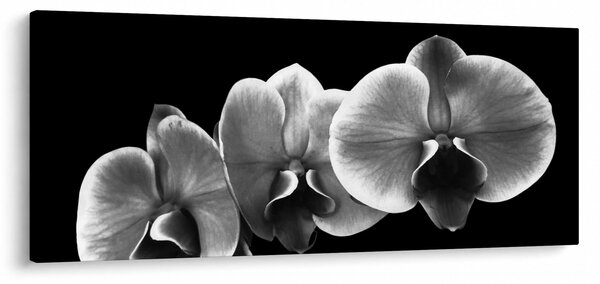 Slika cvijeta orhideje (120x50 cm)