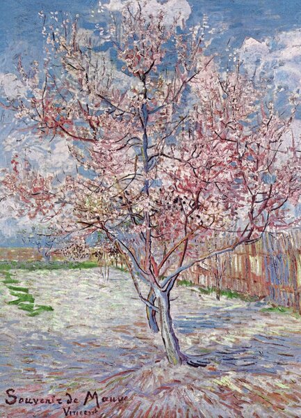 Umjetnički tisak Souvenir de Mauve - Pink Peach Tree in Blossom, 1888, Vincent van Gogh