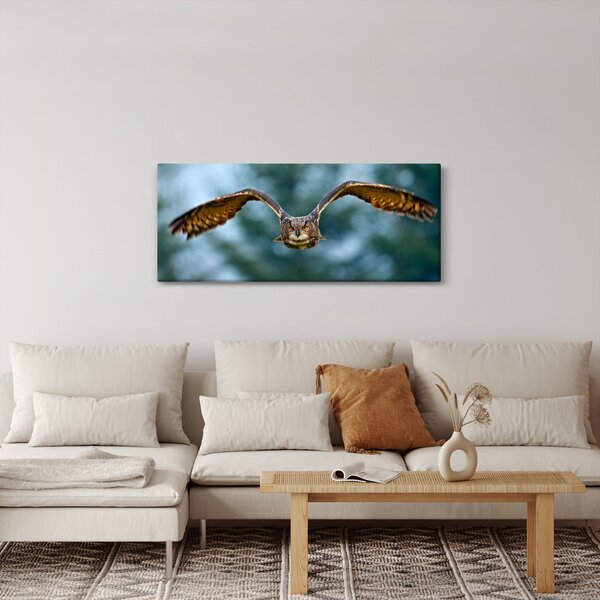 Slika - Sova u letu (120x50 cm)