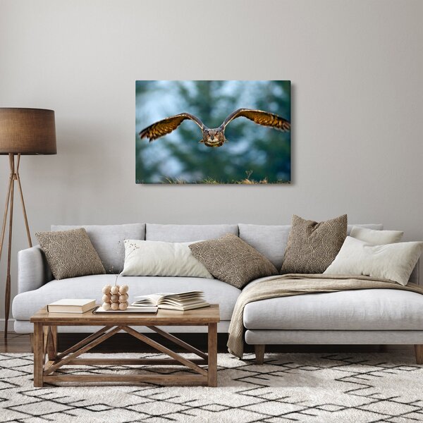 Slika - Sova u letu (90x60 cm)