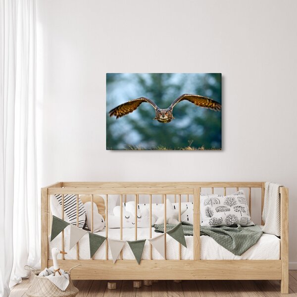 Slika - Sova u letu (90x60 cm)