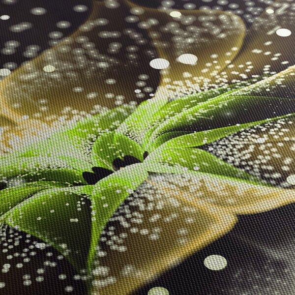 Slika - Detalj cvijeta (90x60 cm)