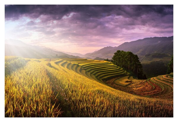 Slika pejzaža (90x60 cm)