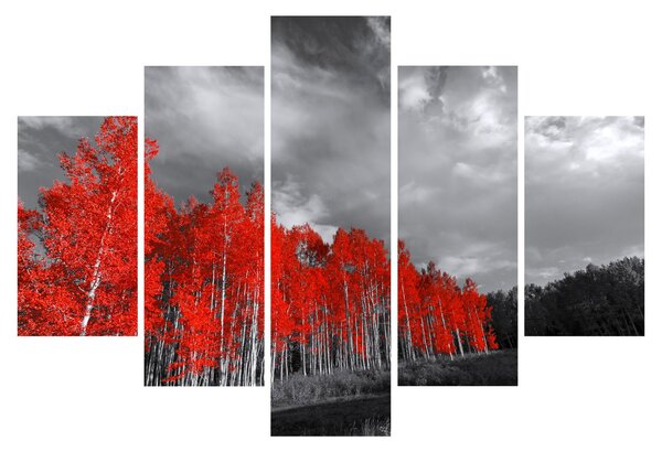 Slika - Drveće u jesenskim bojama (150x105 cm)