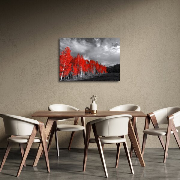 Slika - Drveće u jesenskim bojama (70x50 cm)