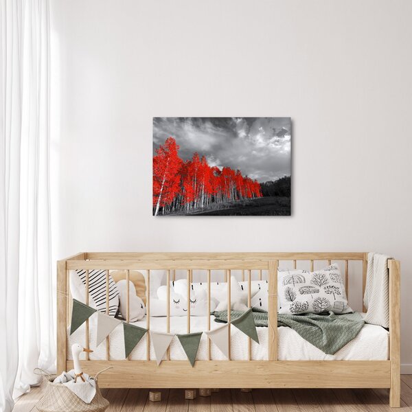 Slika - Drveće u jesenskim bojama (70x50 cm)