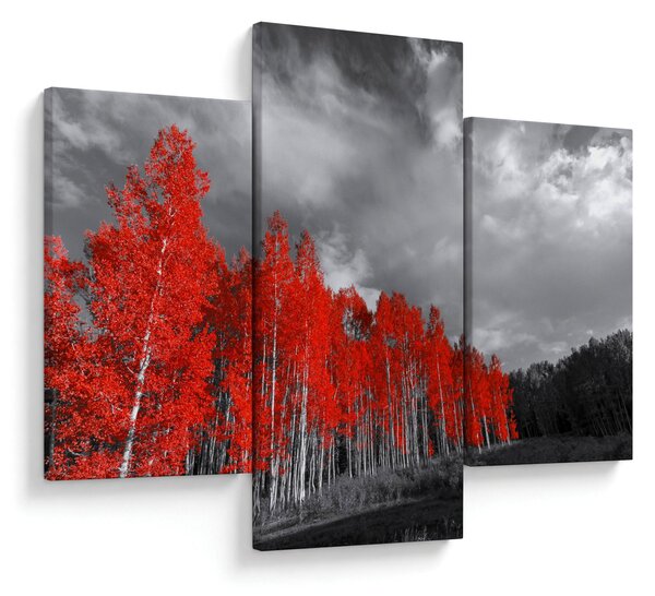 Slika - Drveće u jesenskim bojama (90x60 cm)