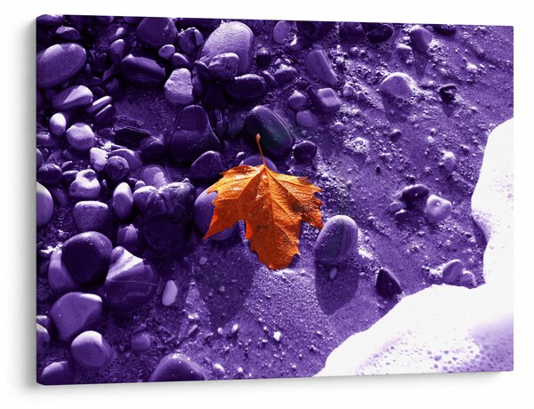 Slika - Morska plaža (70x50 cm)
