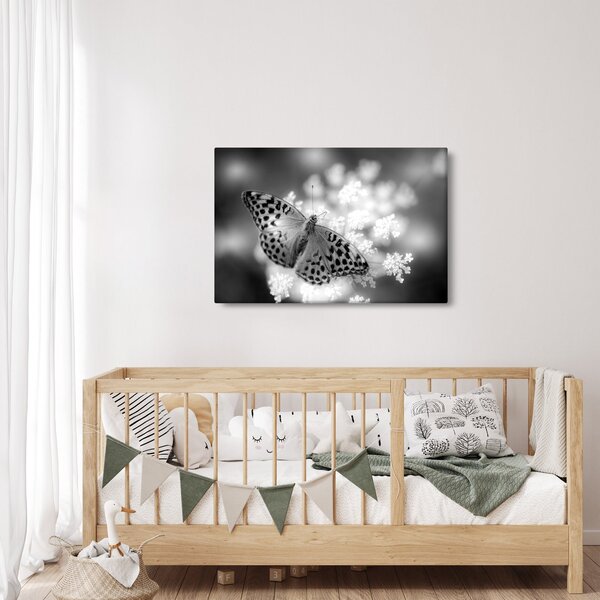 Slika - Detalj leptira koji oprašuje cvijet (90x60 cm)
