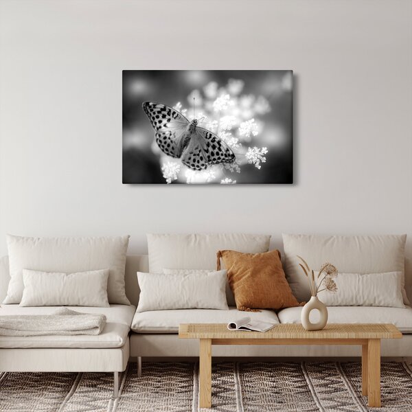 Slika - Detalj leptira koji oprašuje cvijet (90x60 cm)