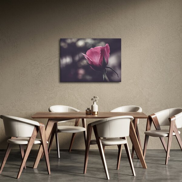 Slika - Detalj cvijeta ruže (70x50 cm)