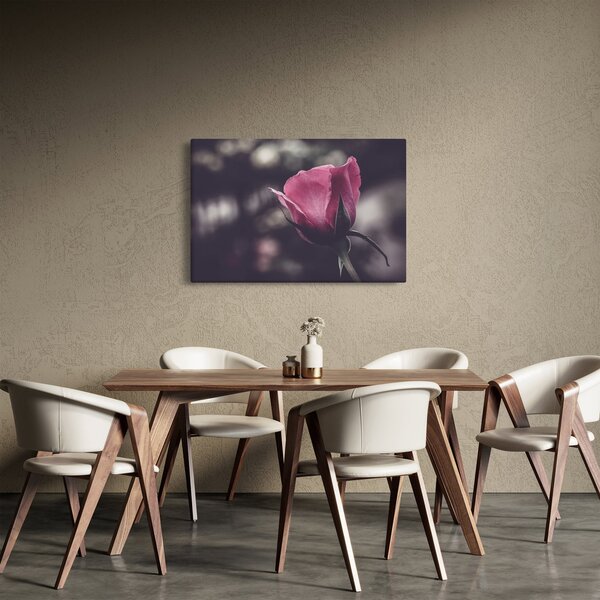 Slika - Detalj cvijeta ruže (90x60 cm)