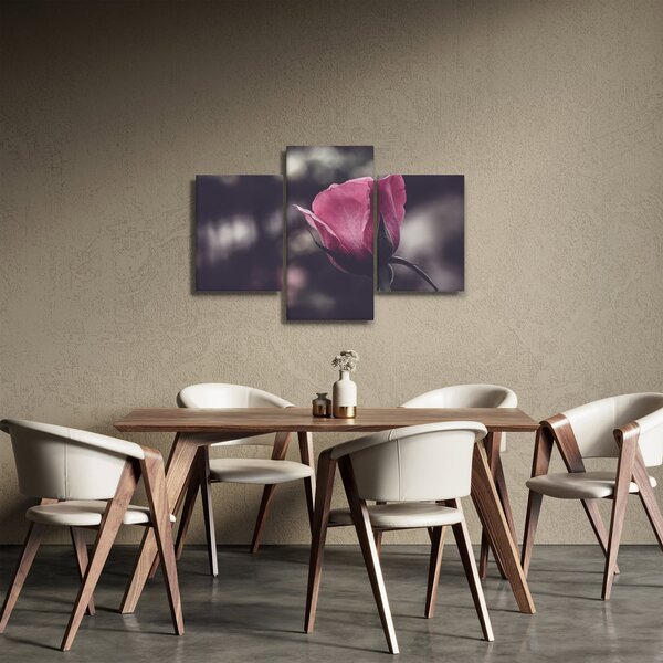 Slika - Detalj cvijeta ruže (90x60 cm)