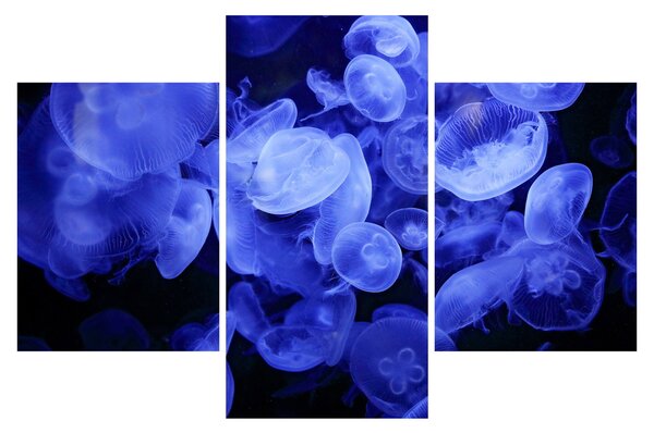 Slika - Meduze (90x60 cm)