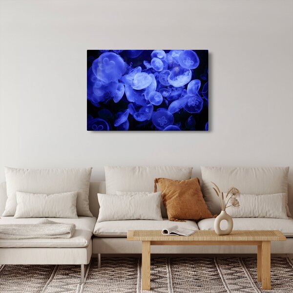 Slika - Meduze (90x60 cm)