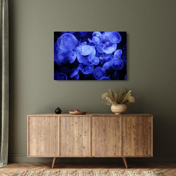 Slika - Meduze (90x60 cm)