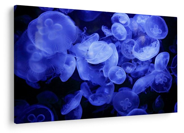 Slika - Meduze (90x60 cm)