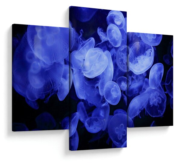 Slika - Meduze (90x60 cm)