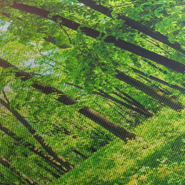 Slika - Proljetna listopadna šuma (sa satom) (90x30 cm)