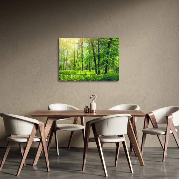 Slika - Proljetna listopadna šuma (70x50 cm)