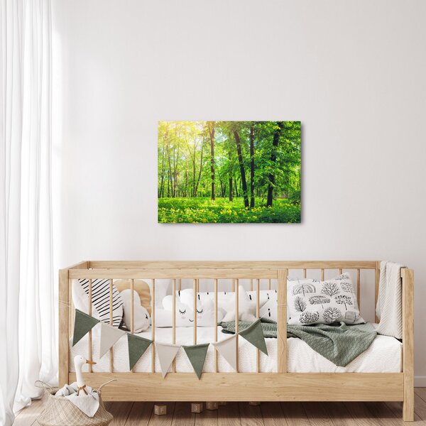 Slika - Proljetna listopadna šuma (70x50 cm)