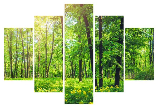 Slika - Proljetna listopadna šuma (150x105 cm)