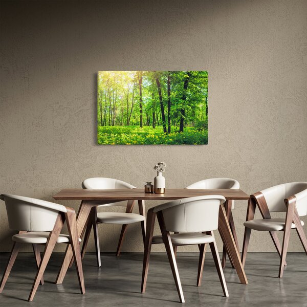 Slika - Proljetna listopadna šuma (90x60 cm)