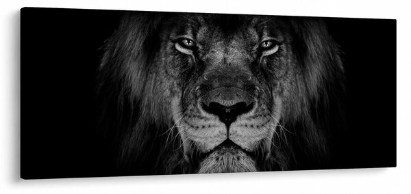 Slika - Veličanstveni lav (120x50 cm)