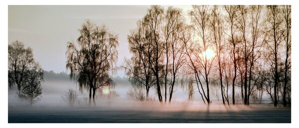 Slika - Vlažno i prohladno jutro (120x50 cm)