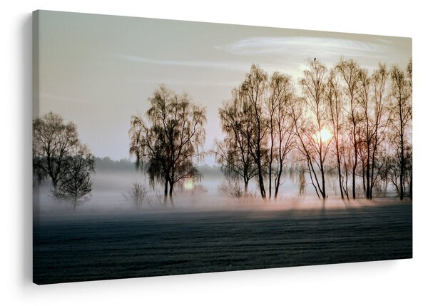 Slika - Vlažno i prohladno jutro (90x60 cm)