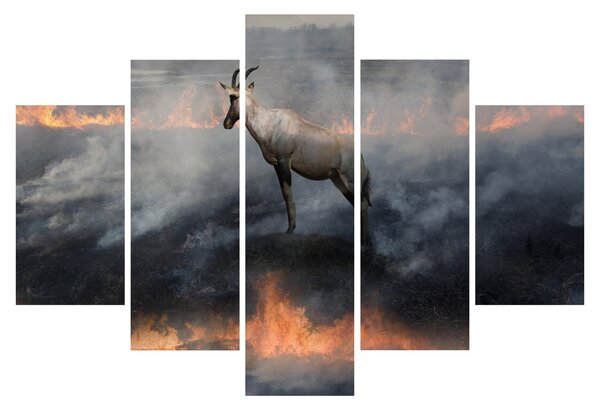 Slika divokoze u plamenu (150x105 cm)