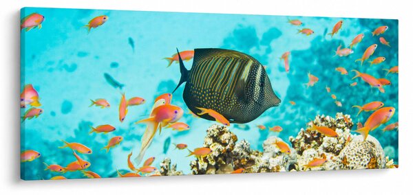Slika podmorskog svijeta (120x50 cm)