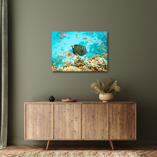 Slika podmorskog svijeta (70x50 cm)