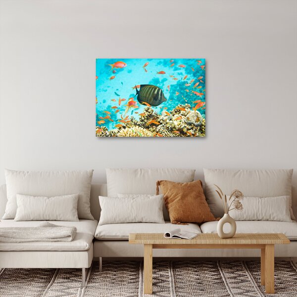 Slika podmorskog svijeta (70x50 cm)