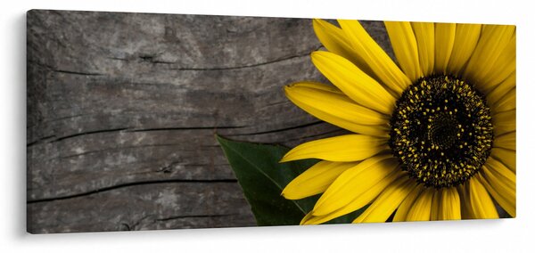 Slika - Cvijet suncokreta (120x50 cm)