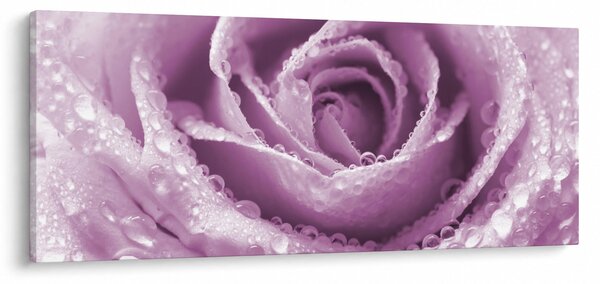 Slika detalja cvijeta ruže (120x50 cm)