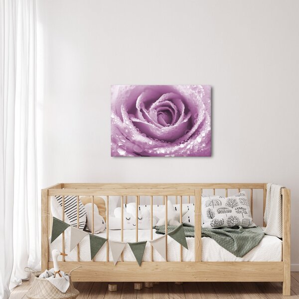 Slika detalja cvijeta ruže (70x50 cm)