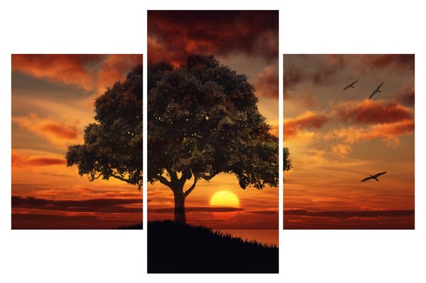 Slika stabla sa zalaskom sunca (90x60 cm)