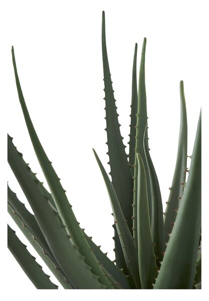Zondo.hr Umjetna biljka Aloe vera Ariaveta (zelena). Akcija -18%. 1146494