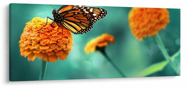 Slika leptira (120x50 cm)