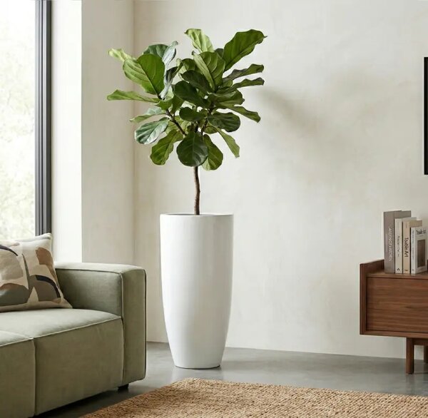 Ukrasna tegla za cvijeće Pure Royal 80×40 cm white - Bijela - 71 - 90 cm - Fiberglass - 31 do 50cm
