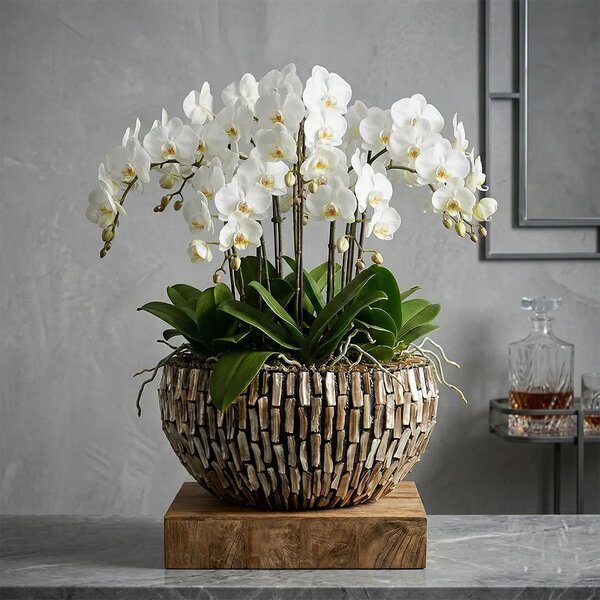 Vaza za cvijeće Aurelia 45 × 22 cm Dark Pearl - 0 - 30cm - Fiberglass - 31 do 50cm