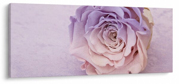 Slika detalja cvijeta ruže (120x50 cm)