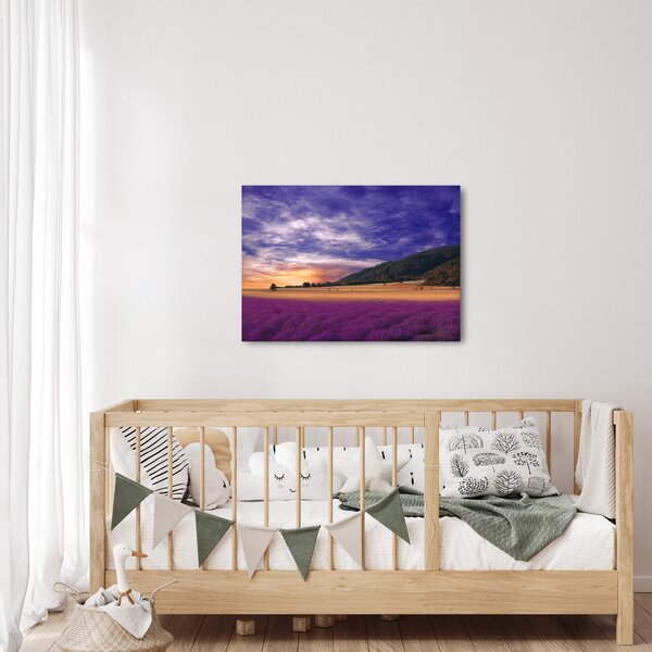 Slika livade sa lavandom (70x50 cm)