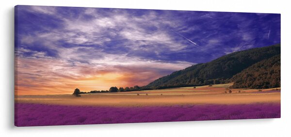 Slika livade sa lavandom (120x50 cm)