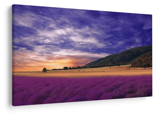 Slika livade sa lavandom (90x60 cm)