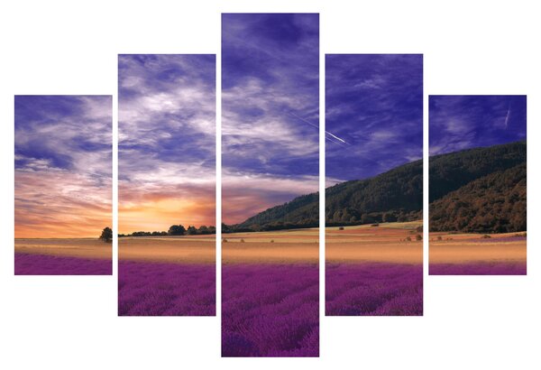 Slika livade sa lavandom (150x105 cm)