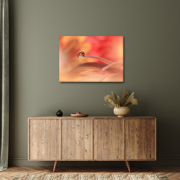 Slika cvjetne kapi rose (70x50 cm)