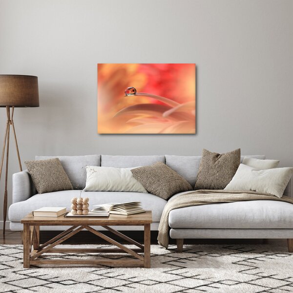 Slika cvjetne kapi rose (70x50 cm)